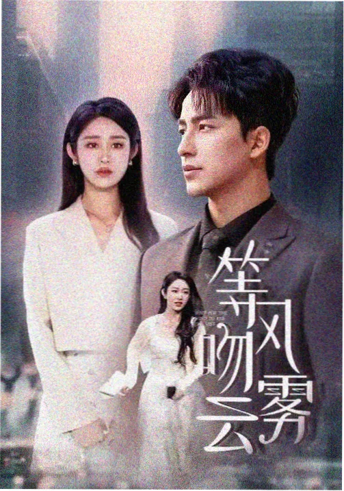 回声街区电视剧在线观看